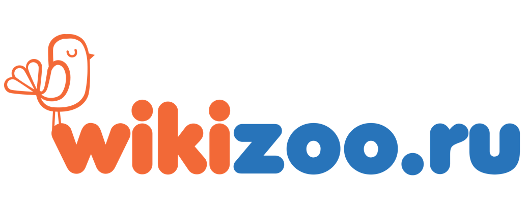WikiZoo WikiZoo
